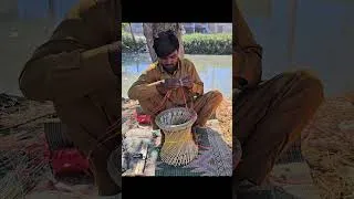 Thumbnail: Weaving Natural Reeds into a Strong Handmade Stool