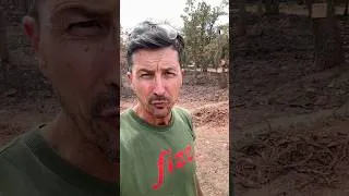 Thumbnail: Why is fire retardant red?