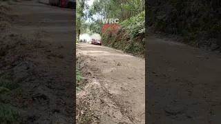 Thumbnail: ATTACK #wrc #rally #rallye #rallycar #shorts #shortvideo