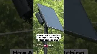 Thumbnail: How AI tool is catching Ga. cops for misusing Flock license cams