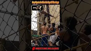Thumbnail: Rey Mysterio Dive From The Top of The Cage #shorts #wwe #cage