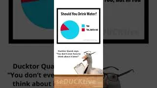 Thumbnail: Ducktor Quack Says…