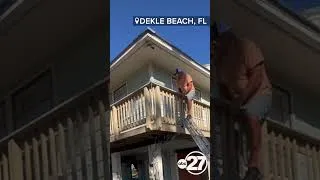 Thumbnail: Trapped cat rescued after reporter finds scared animal in Helene aftermath