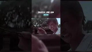 Thumbnail: Shaolin Long Arm #shortvideo #shorts #short