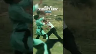 Thumbnail: Snake In The Monkey'S Shadow #shortvideo #shorts #short