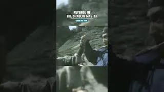 Thumbnail: Revenge Of The Shaolin Master #shortvideo #shorts #short