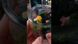 Thumbnail: DIY Pokémon Terrarium : Glass Jar Upcycling (ASMR)