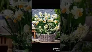 Thumbnail: اجمل دعاء