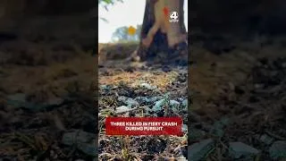 Thumbnail: Coroner: Three killed in fiery crash while fleeing law enforcement