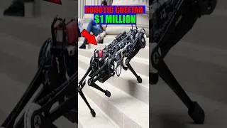 Thumbnail: ROBOTIC CHEETAH ($1 MILLION)