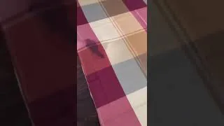 Thumbnail: Macosy Rectangle Tablecloth, Black Tablecloth Review, Attractive, durable giftable