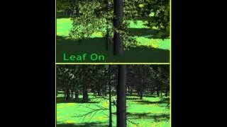 Thumbnail: Demonstration of Tree Modeling Software to accommodate leaf-on and leaf-off conditions