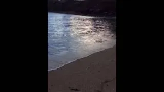 Thumbnail: Crail harbour beach
