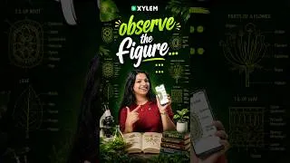 Thumbnail: Observe The Figure....