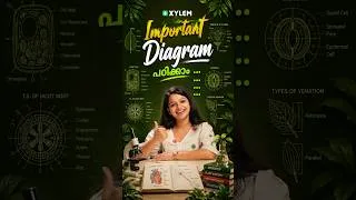 Thumbnail: Important Diagram പഠിക്കാം ...
