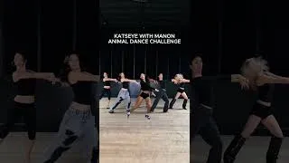 Thumbnail: KATSEYE OT6 "ANIMAL" DANCE CHALLENGE  #katseye #manon #eyekons #animal