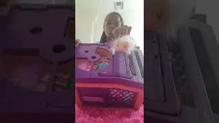Thumbnail: Mama hamster surprise opening trying to see babies
