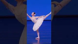 Thumbnail: STUNNING Arabesque!