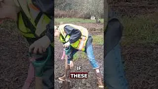 Thumbnail: GOVERNMENT AGENTS "certify a 100+ year old farm as a wetland" in the rain... then FINE THE FARM.