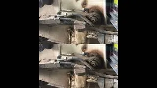 Thumbnail: Video Watermark Remover's result demo