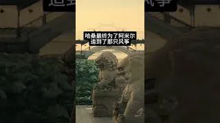 Thumbnail: 追风筝的人 中文速览 #书籍 #小说 #人物故事 #阿富汗