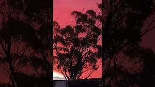Thumbnail: End of the world 😂😂.#sunset #nature #camping #clouds
