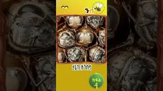 Thumbnail: ታሪከ እንስሳ / ንብ 4/ye Ethiopia lijoch #የኢትዮጵያ_ልጆች #ኢትዮጵያ_የልጆቻችን_ናት #yeethiopialijochtv #childrensongs