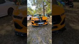 Thumbnail: Mustang 🐎🥰 baby