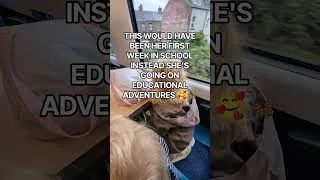 Thumbnail: Grateful that my little girl can be homeschooled 🥰🦋