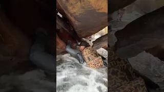 Thumbnail: Chasing Dorado in Bolivia, the things we do to find the big ones.