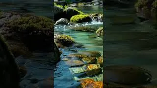 Thumbnail: mountain water flowing slowly