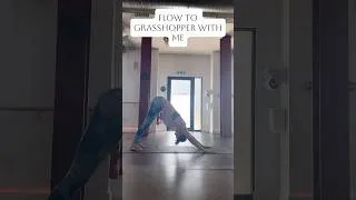 Thumbnail: Flow to Grasshopper with me!
