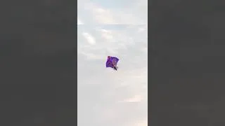 Thumbnail: Big Kite Flying 2026 | Happy Independence Day | Patang Ki Video | Yogesh 01