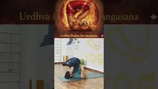 Thumbnail: Urdhva Padma Sarvangasana 🔥 | Advanced Yoga Balance | #shorts