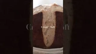 Thumbnail: Cocoa Whole Wheat Bread #CrispyBread #SoftBread #ArtisanBread