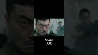 Thumbnail: 🌿🐍 Lurking in the Rainforest… Then It Emerged Without Warning! 😨 | Snake | YOUKU MONSTER MOVIE