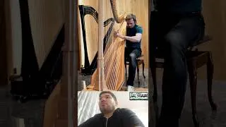 Thumbnail: Can a Harp Sound This Magical? Vivaldi – Winter Performed to Perfection #shorts #short #shortvideo