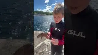 Thumbnail: Fresh Catch in the Creel! 🎣🦞 #Fishing #Lobster #FreshCatch