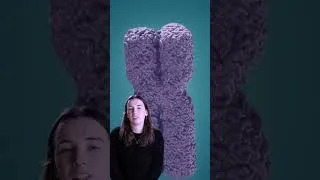Thumbnail: What does DNA look like? Let's zoom in on DNA