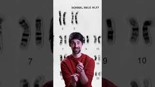 Thumbnail: What is mitosis?