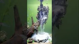 Thumbnail: DIY Waterfall Aquarium #aquarium #aquascape