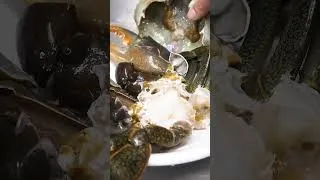 Thumbnail: 싱가포르 하면 칠리크랩 Singapore Chili Crab