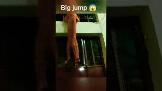 Thumbnail: cat ne bhut bara jamp lagya #shorts #cat #vlog