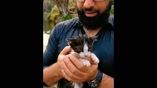 Thumbnail: Cute Cat baby Rescue 😍 And Beautiful Lake #shorts #vlog #nature