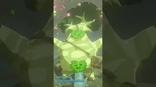 Thumbnail: Hestus Korok Seed Dance Zelda Tears of the Kingdom