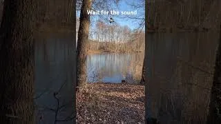 Thumbnail: This Ice Sound Doesn’t Feel Real 🔊