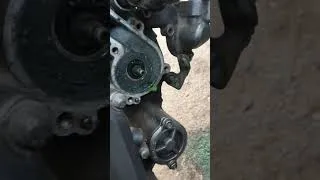 Thumbnail: KTM Duke Engine Oil Turning Green