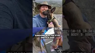 Thumbnail: Police separated this Veteran from his Service Dog