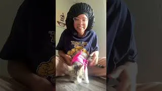 Thumbnail: trying to put a harness on a cat #cats