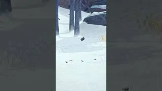 Thumbnail: Nuke the Ptarmigans!